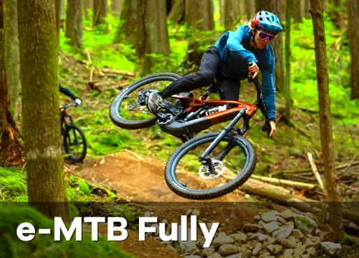 e-bike mountain