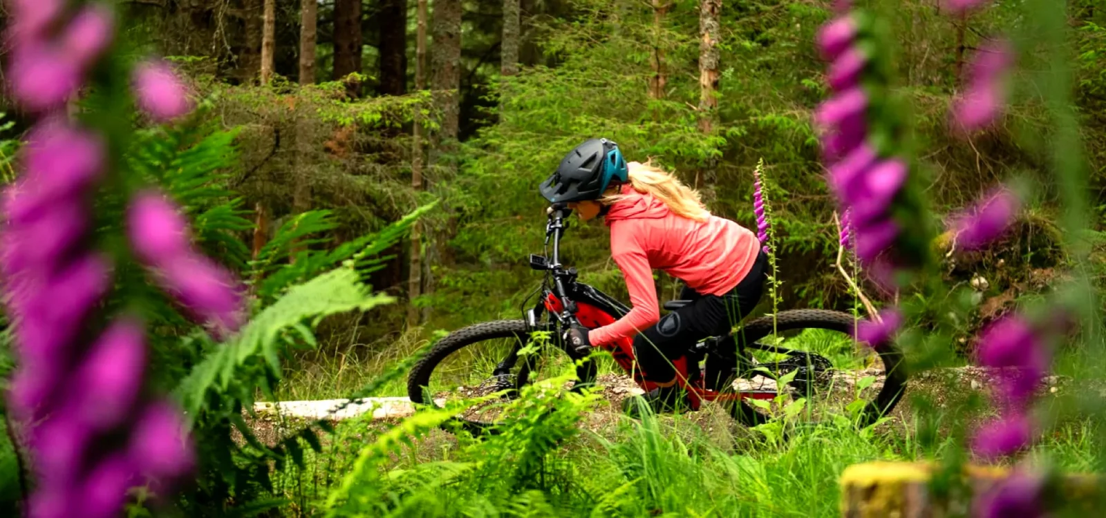 e-MTB landing