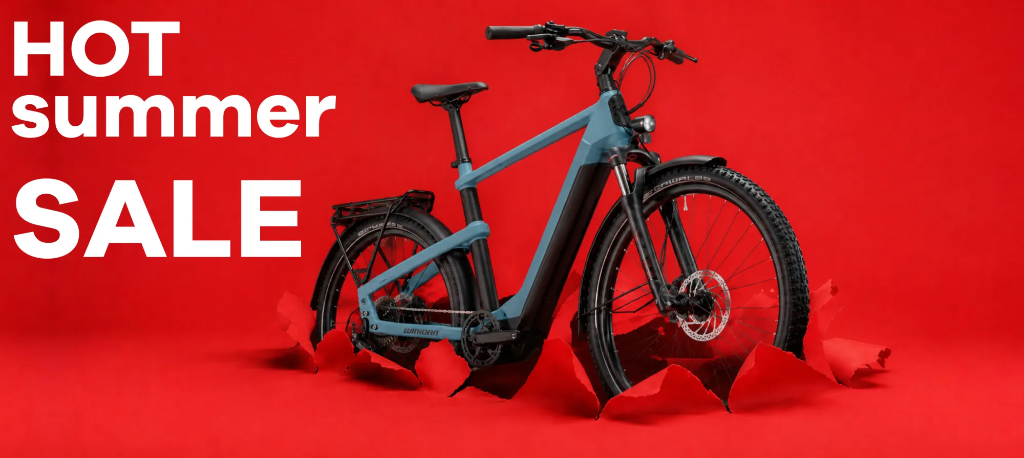 Akcija e-bike/ Akcija električni bicikli / SALE