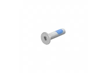 VIJAK HEX SC WNG BLT M5X21