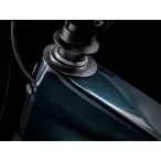 Slash 9.9 XX AXS T-Type Gen 6 2024 Lichen Green - MTB - MUŠKI - 8