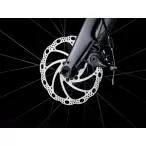 Domane AL 2 Gen 4 2026 Lithium Grey - TRKAĆI - MUŠKI - 7