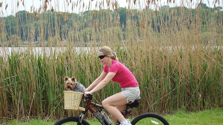 Kako krenuti u vožnju bicikla sa psom?
