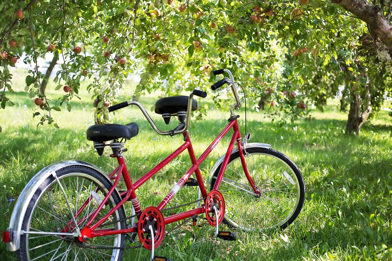 Tandem bicikl idealan je za zaljubljene