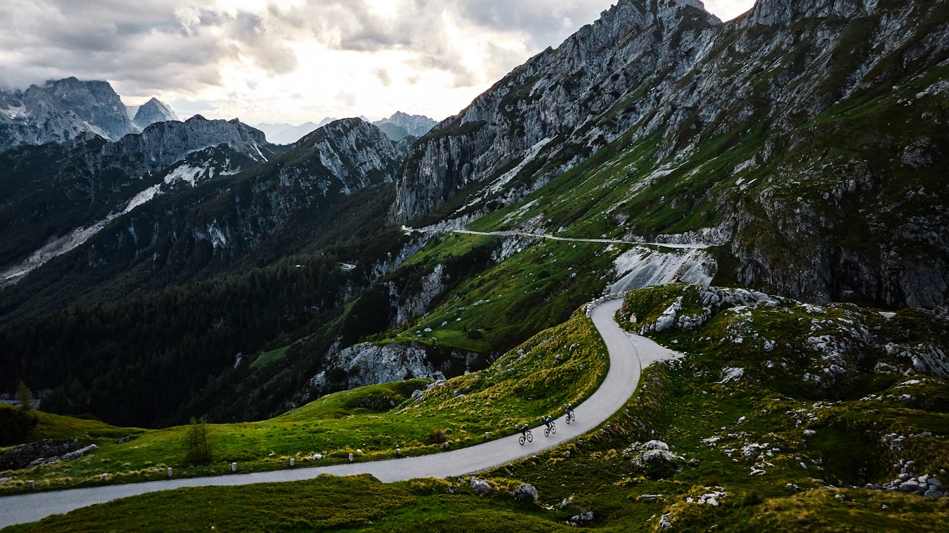 Domane SL 5 — lagana endurance izvedba